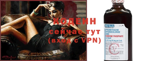 бошки Бородино