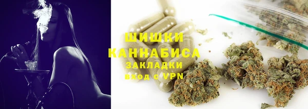 гидра Бронницы