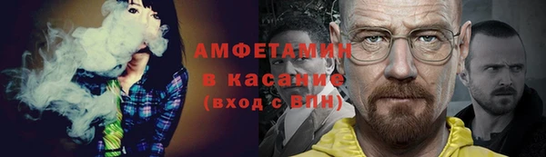 гидра Бронницы