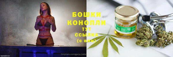 гидра Бронницы