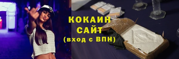 гидра Бронницы