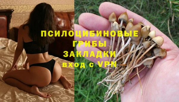 гидра Бронницы