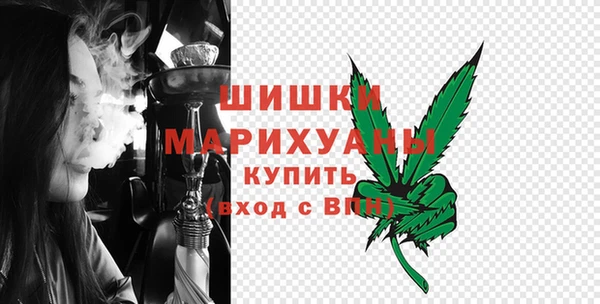бошки Бородино