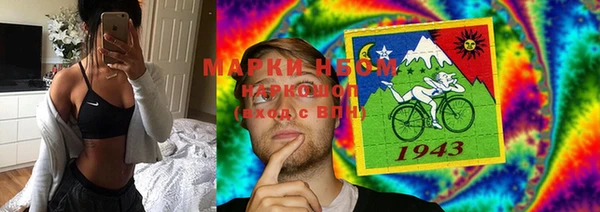 бошки Бородино
