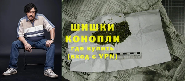 бошки Бородино