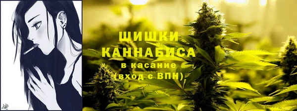гидра Бронницы
