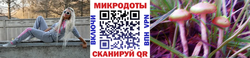 Галлюциногенные грибы Psilocybe  Северская 